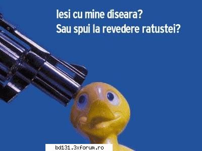 poze acceptam provocari