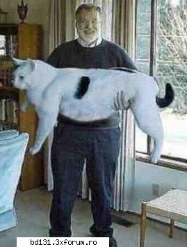 poze animale poza