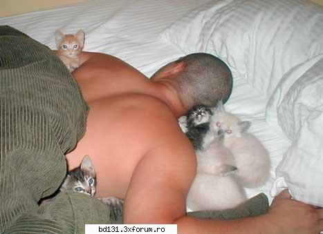 poze animale poza