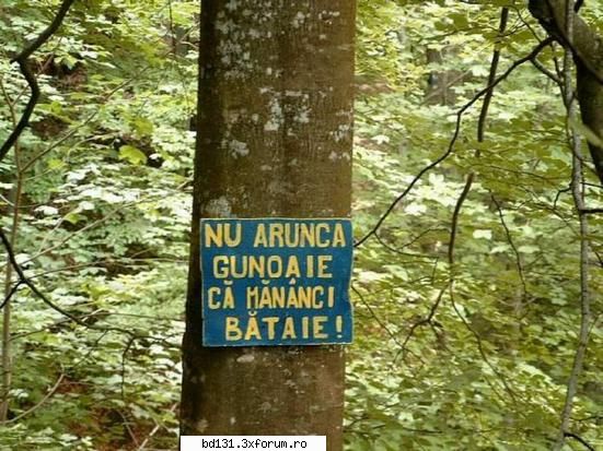 poze comice poza
