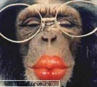 nu-i sexy? :rotfl: poze animale